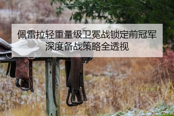 佩雷拉轻重量级卫冕战锁定前冠军 深度备战策略全透视