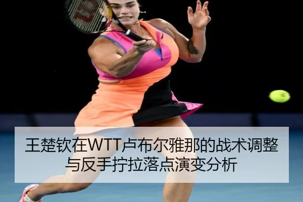 wang-chu-qin-zai-lu-bu-er-ya-na-de-zhan-shu-tiao-zheng-yu-fan-shou-ning-la-luo-dian-yan-bian-fen-xi-3-366.jpg