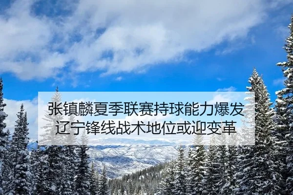 张镇麟夏季联赛持球能力爆发 辽宁锋线战术地位或迎变革