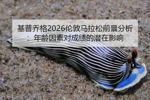ji-pu-qiao-ge-lun-dun-ma-la-song-qian-jing-fen-xi-nian-ling-yin-su-dui-cheng-ji-de-qian-zai-ying-xiang-3-626.jpg